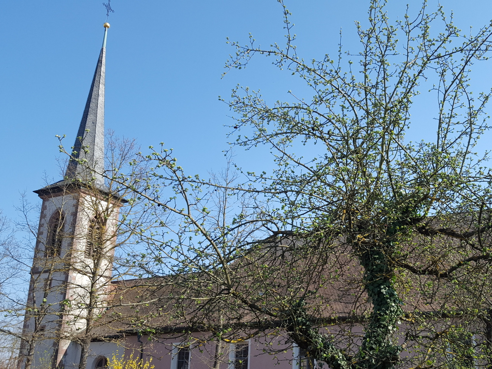 Außenansicht der Pfarrkirche St. Sixtus in Hettstadt