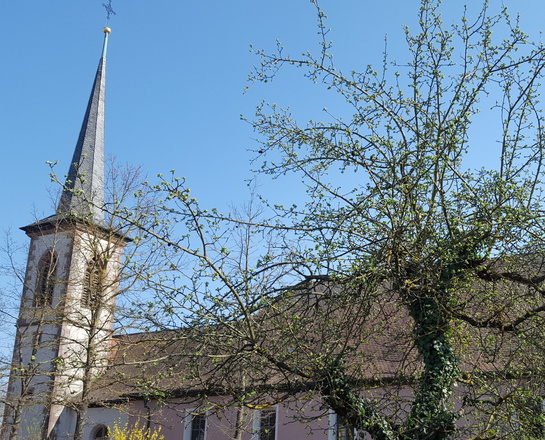 Außenansicht der Pfarrkirche St. Sixtus in Hettstadt